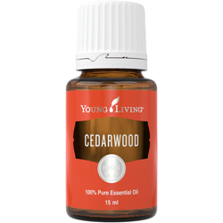 Cedarwood essentiel olie